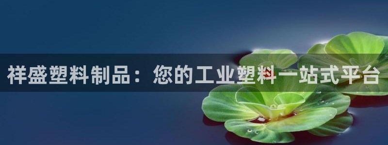 太阳诚集团有限公司有多少人：祥盛塑料制品：您的工业塑料一站式