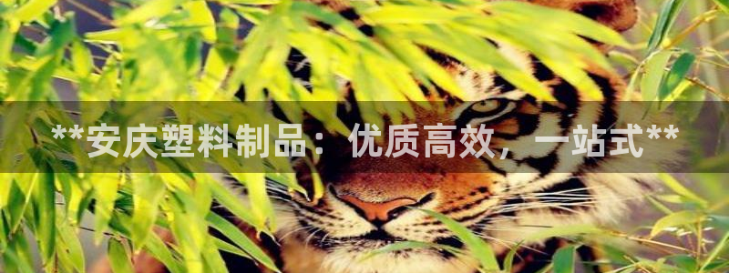 太阳诚集团视频：**安庆塑料制品：优质高效，一站式**