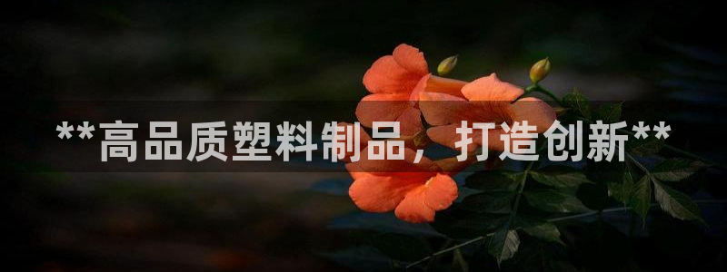 太阳软件：**高品质塑料制品，打造创新**