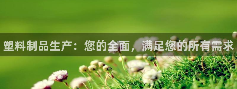 122cc太阳集成游戏：塑料制品生产：您的全面，满足您的所有