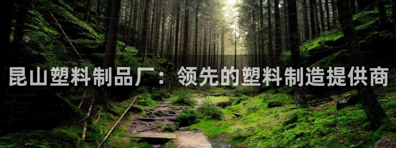 太阳游戏汉化：昆山塑料制品厂：领先的塑料制造提供商