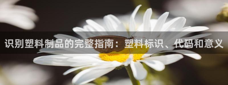 太阳贵宾城：识别塑料制品的完整指南：塑料标识、代码和意义