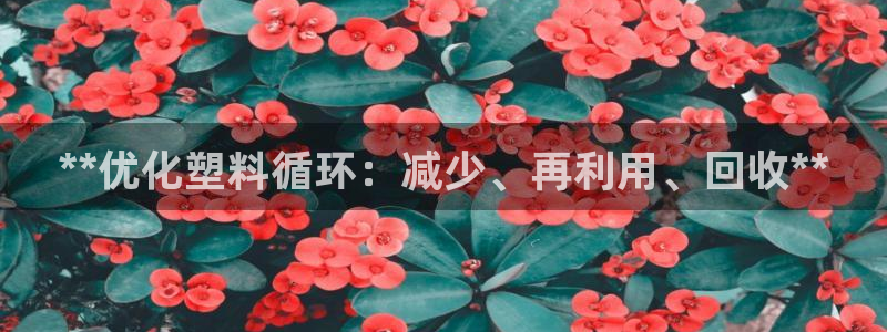 太阳集团城所有网址是多少：**优化塑料循环：减少、再利用、回