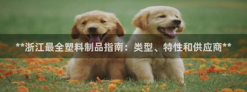 太阳成集团下载：**浙江最全塑料制品指南：类型、特性和供应商