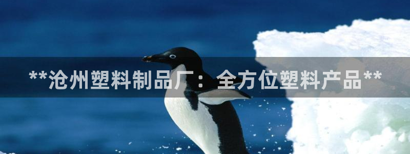 太阳成集团tyc33455cc：**沧州塑料制品厂：全方位塑