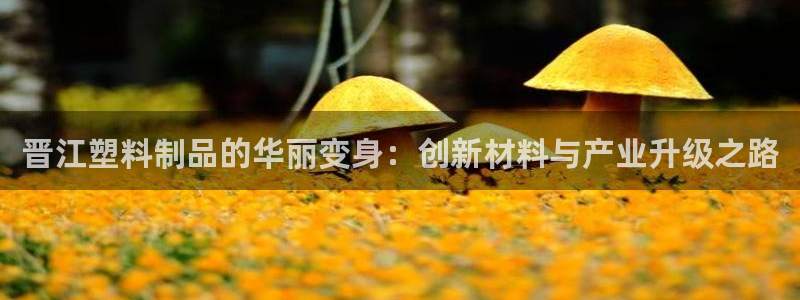 太阳sun网站：晋江塑料制品的华丽变身：创新材料与产业升级之