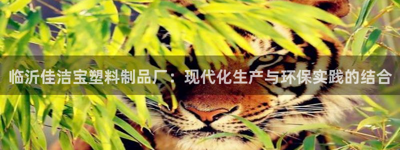 2003网站太阳集团：临沂佳洁宝塑料制品厂：现代化生产与环保