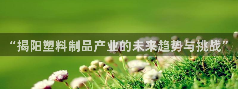 太阳集团2018登录网址：“揭阳塑料制品产业的未来趋势与挑战