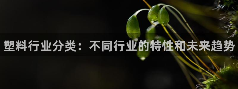 太阳集团游戏城旧版：塑料行业分类：不同行业的特性和未来趋势