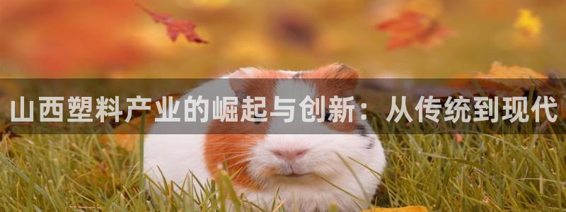 太阳成集团网站取款：山西塑料产业的崛起与创新：从传统到现代