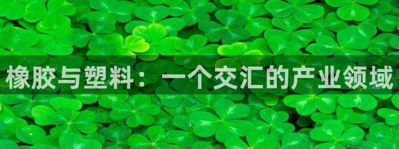 太阳成集团网站取款：橡胶与塑料：一个交汇的产业领域