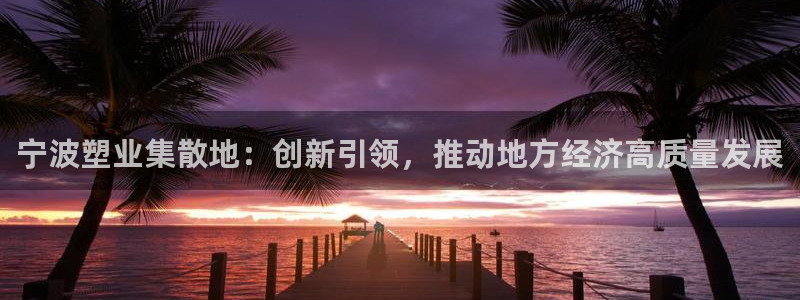 太阳集团手机app：宁波塑业集散地：创新引领，推动地方经济高