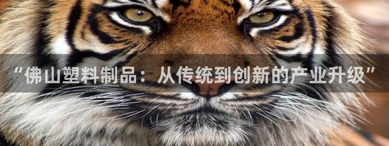 古天乐只有太阳能黑他：“佛山塑料制品：从传统到创新的产业升级