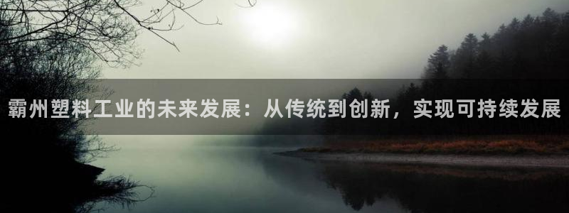 太阳集团的法人代表：霸州塑料工业的未来发展：从传统到创新，实
