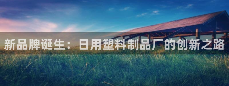 太阳成集团老板照片：新品牌诞生：日用塑料制品厂的创新之路