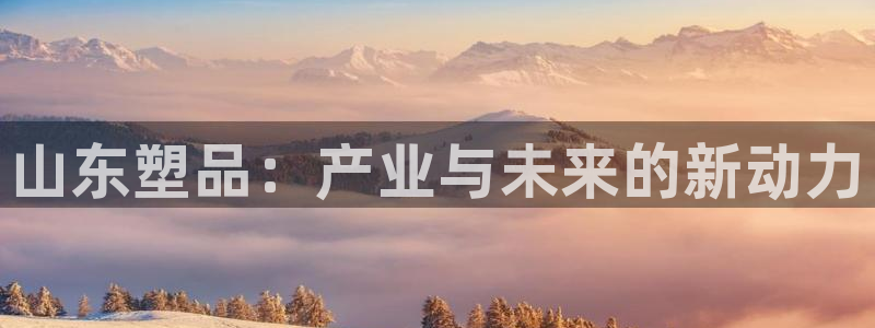 太阳成集团tyc234cc[主页]网：山东塑品：产业与未来的