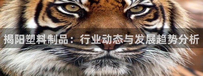 太阳gg在线测速登录：揭阳塑料制品：行业动态与发展趋势分析