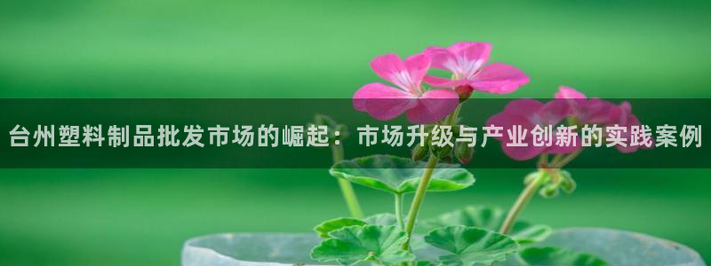 太阳集团的法人代表：台州塑料制品批发市场的崛起：市场升级与产