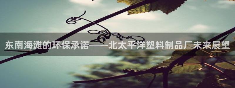太阳集团娱乐网8722手机登录：东南海滩的环保承诺——北太平