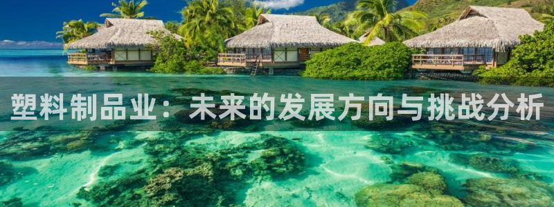 太阳诚集团有限公司地址：塑料制品业：未来的发展方向与挑战分析