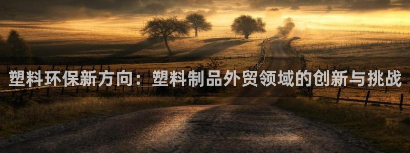 太阳集团的老总是谁：塑料环保新方向：塑料制品外贸领域的创新与