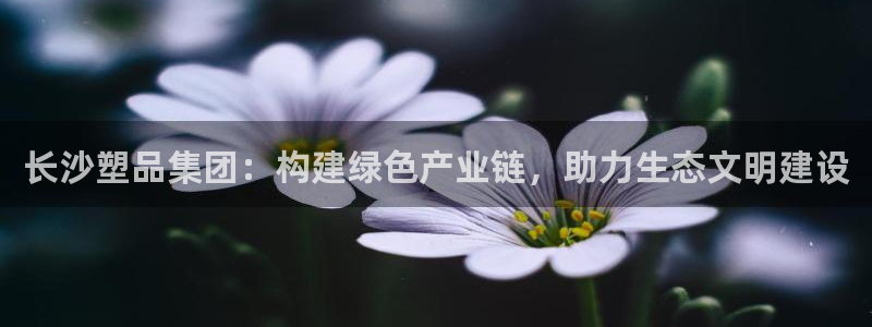 太阳集团房地产：长沙塑品集团：构建绿色产业链，助力生态文明建