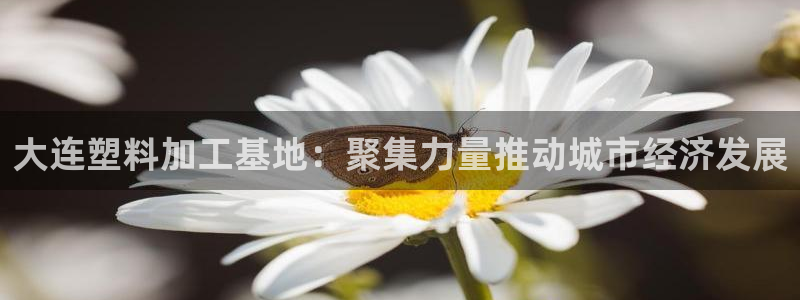 太阳集团网站入口官网下载：大连塑料加工基地：聚集力量推动城市