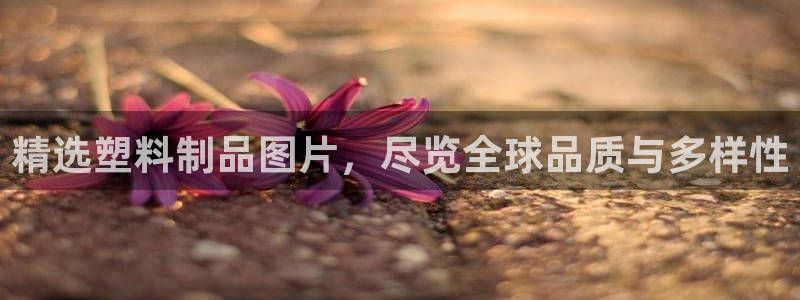 古天乐太阳集团广告：精选塑料制品图片，尽览全球品质与多样性