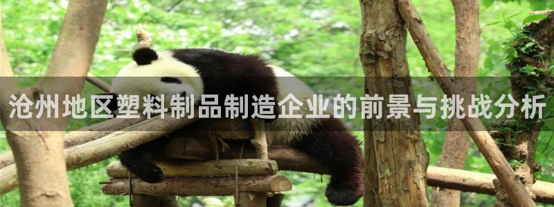 太阳集团城娱8722：沧州地区塑料制品制造企业的前景与挑战分