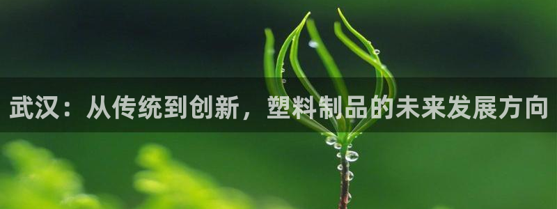 122cc太阳集成游戏官方网站版：武汉：从传统到创新，塑料制