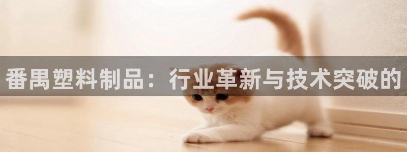 太阳 官网：番禺塑料制品：行业革新与技术突破的
