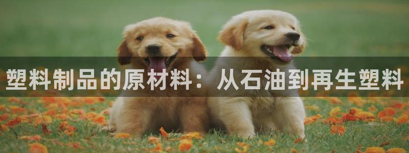 太阳集团游戏城旧版1382：塑料制品的原材料：从石油到再生塑