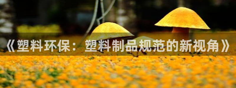 太阳成集团tyc7111cc下载手机版：《塑料环保：塑料制品