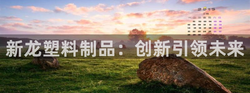 2138cn太阳集团古天乐：新龙塑料制品：创新引领未来