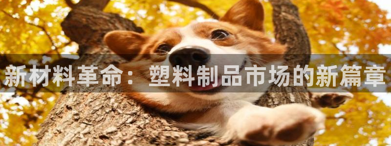 太阳gg打不开了吗：新材料革命：塑料制品市场的新篇章