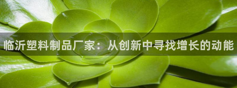 太阳集团手机app下载：临沂塑料制品厂家：从创新中寻找增长的