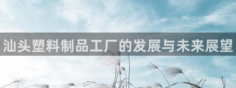 太阳集团电子游戏(中国)有限公司：汕头塑料制品工厂的发展与未