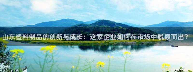 太阳gg娱选_2o5o26：山东塑料制品的创新与成长：这家企