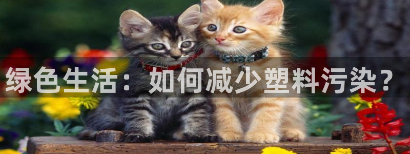 太阳成集团娱乐网站：绿色生活：如何减少塑料污染？