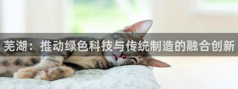 太阳app官方：芜湖：推动绿色科技与传统制造的融合创新