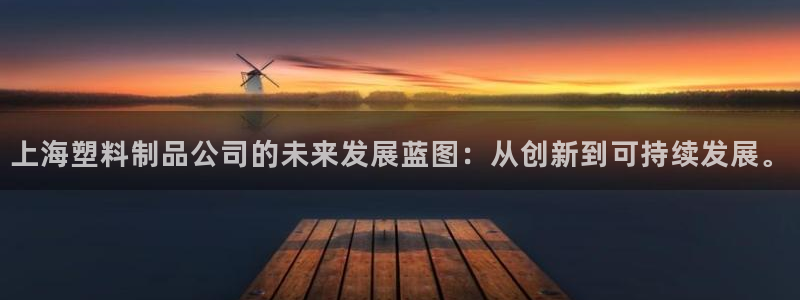 太阳董事长：上海塑料制品公司的未来发展蓝图：从创新到可持续发