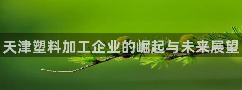 澳门太阳集团老板洗米华：天津塑料加工企业的崛起与未来展望