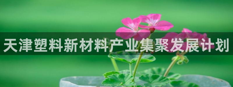 江苏太阳集团冷青松：天津塑料新材料产业集聚发展计划