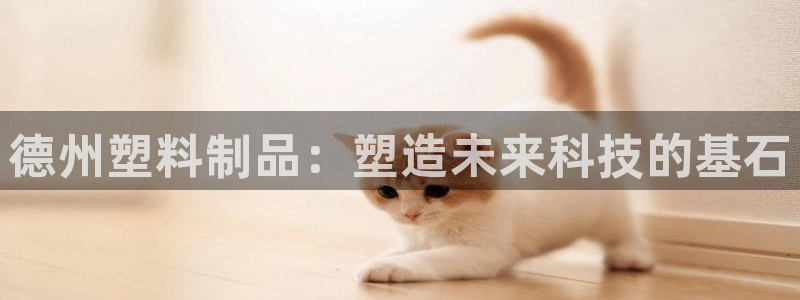 太阳2平台app下载：德州塑料制品：塑造未来科技的基石
