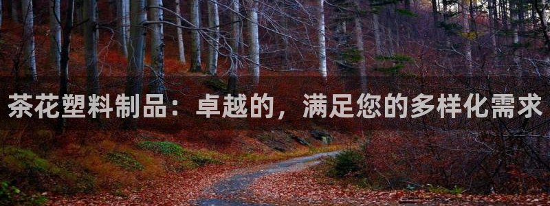太阳阳城集团：茶花塑料制品：卓越的，满足您的多样化需求
