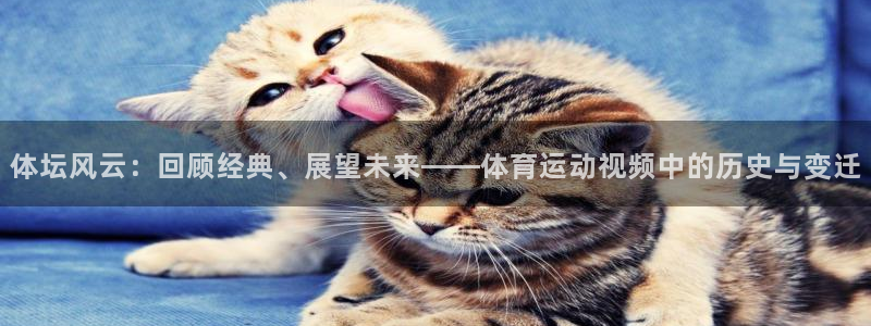 熊猫体育app官方下载最新版：体坛风云：回顾经典、展望未来——体育运动视频中的历史与变迁