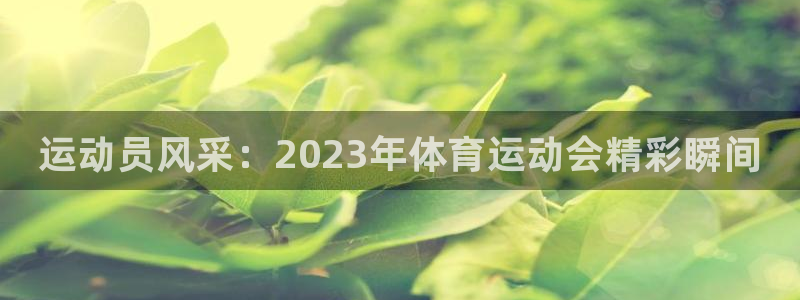 熊猫体育免费下载：运动员风采：2023年体育运动会精彩瞬间
