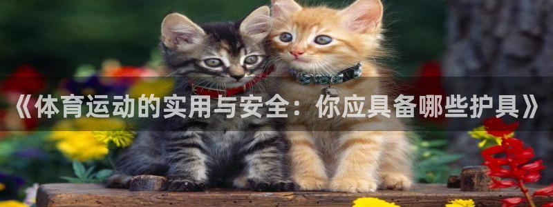 熊猫体育文化有限公司：《体育运动的实用与安全：你应具备哪些护具》
