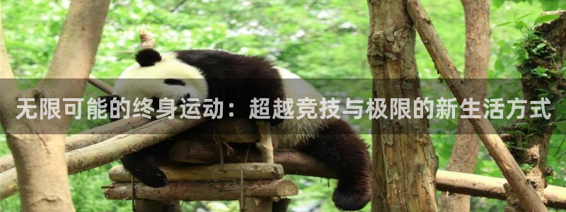 熊猫体育nba：无限可能的终身运动：超越竞技与极限的新生活方式