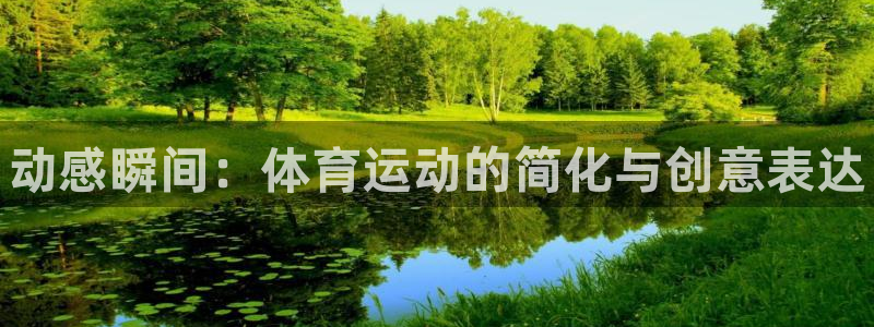 熊猫体育比赛直播：动感瞬间：体育运动的简化与创意表达